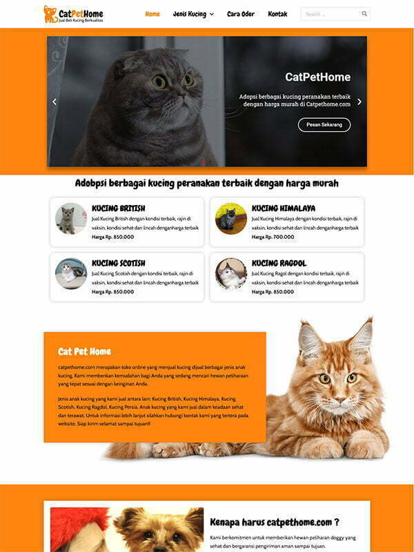 cat pet home
