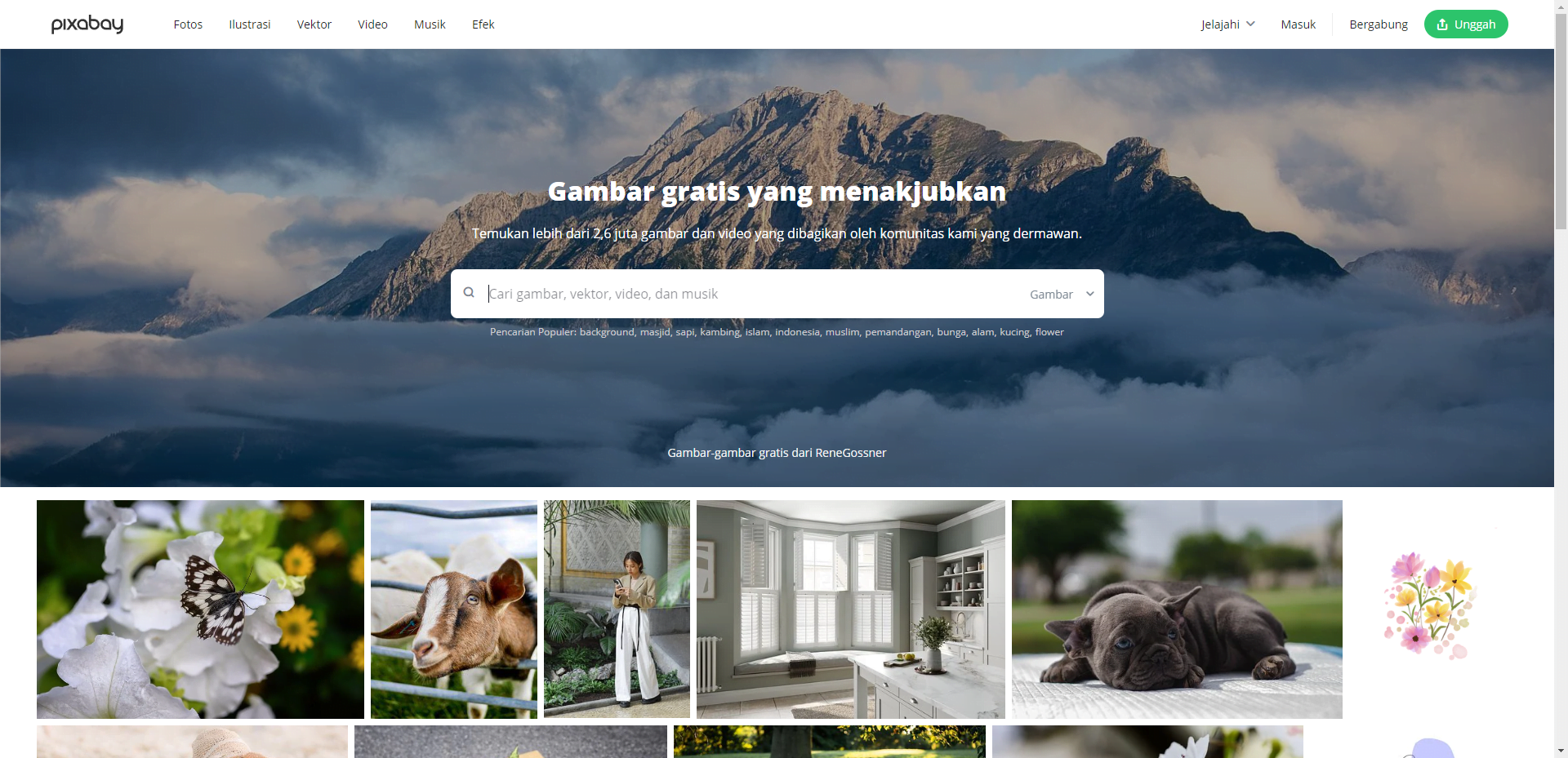 pixabay